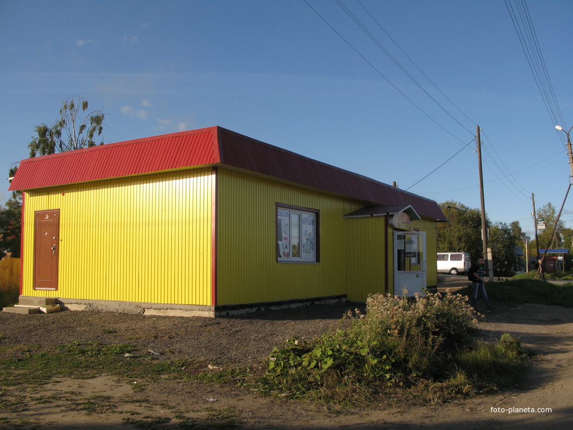 Выльгорт 2013