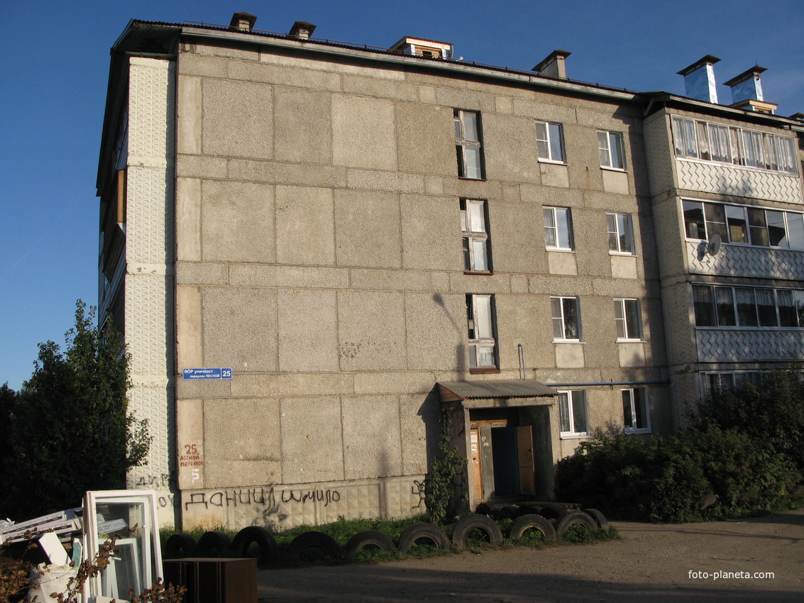 Выльгорт 2013