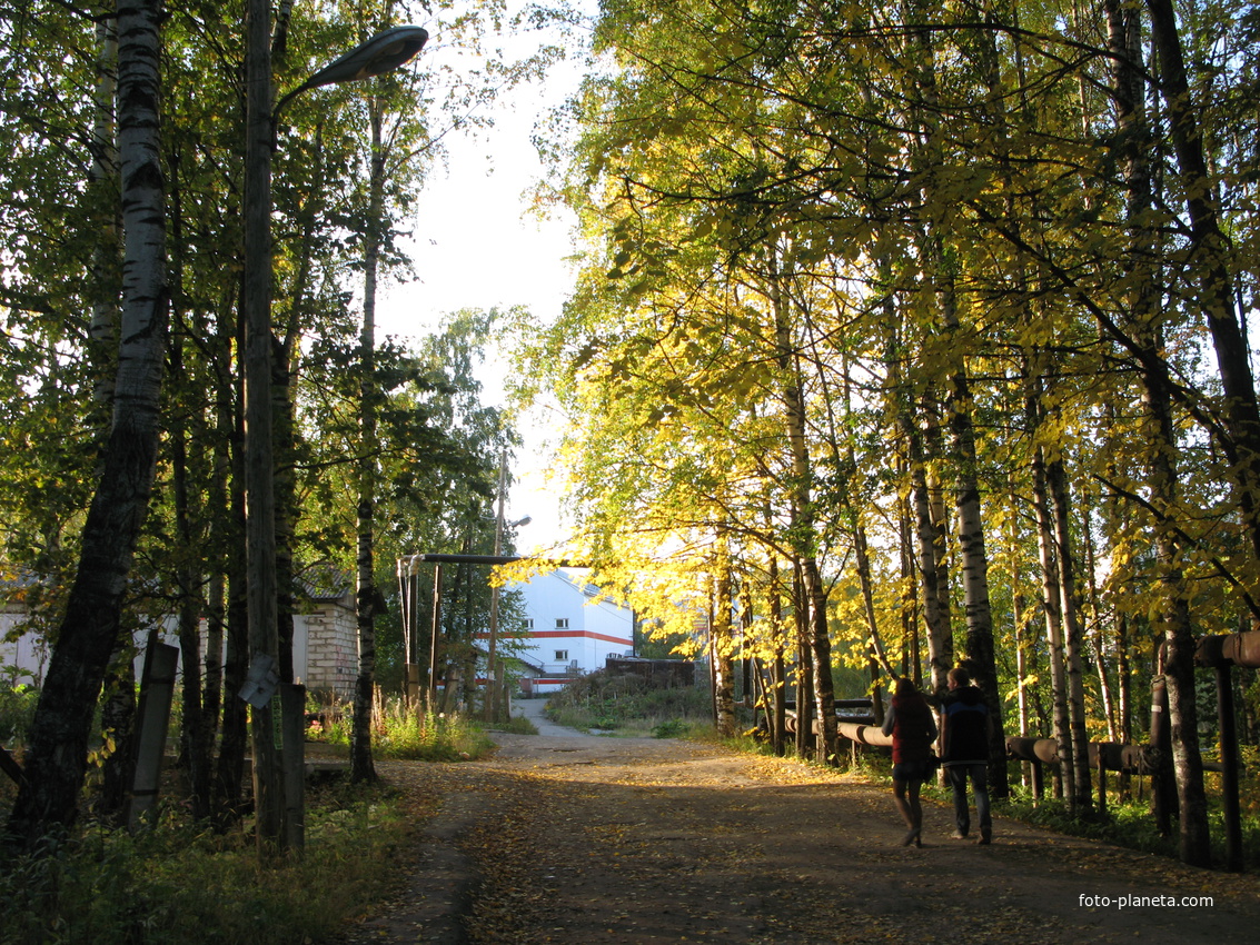 Выльгорт 2013