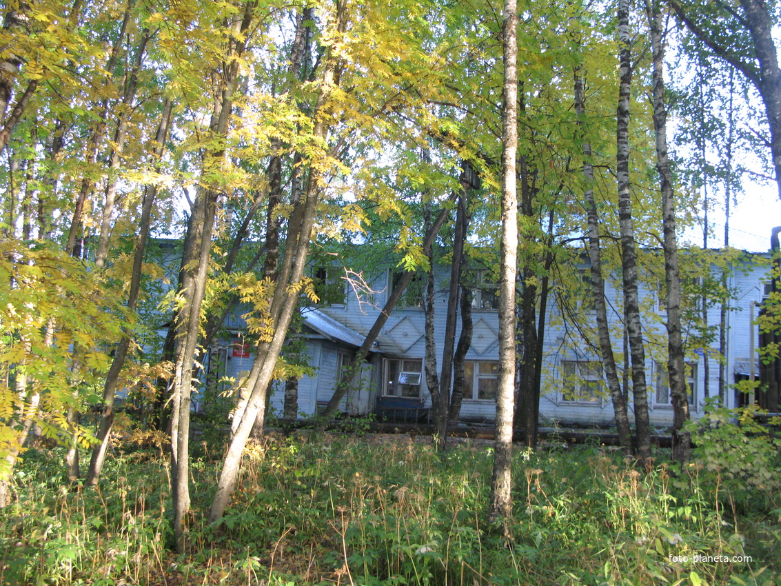 Выльгорт 2013