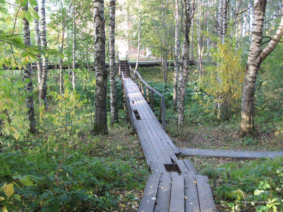 Выльгорт 2013