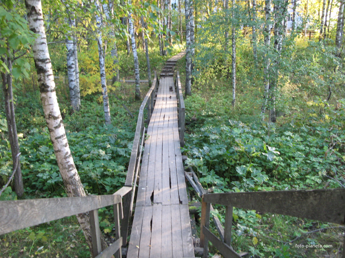 Выльгорт 2013