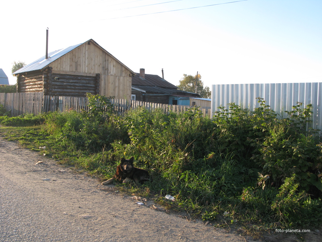 Выльгорт 2013