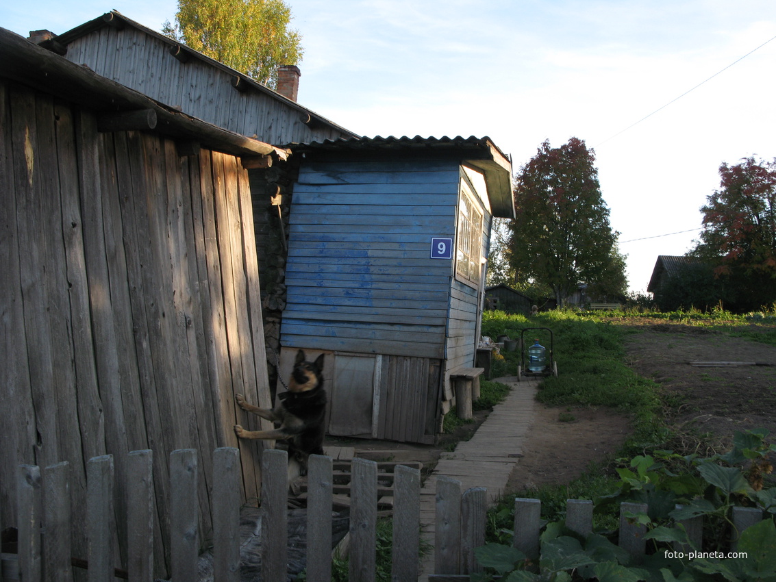 Выльгорт 2013