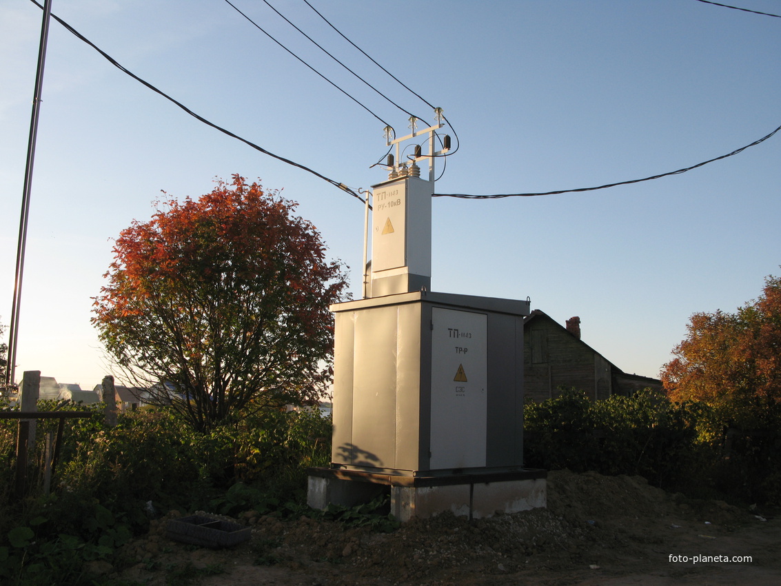 Выльгорт 2013