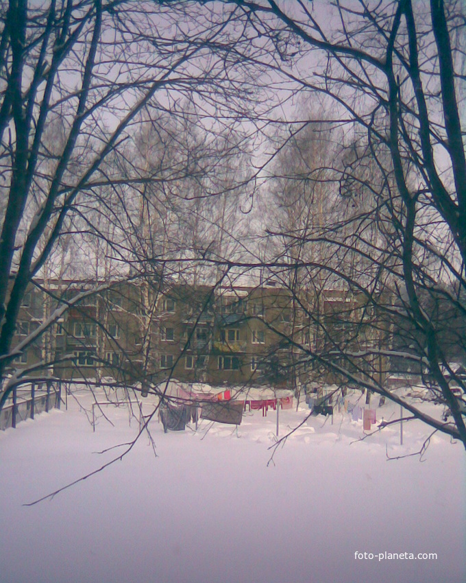 аксентис - зима 2011