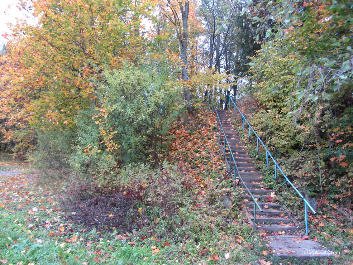 Рождествено