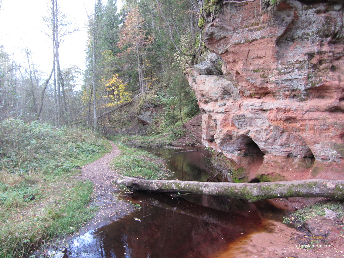 Карстовые песчаные отложения в Рождествено