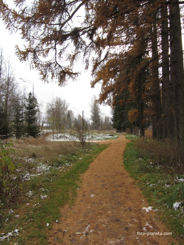 Рождествено