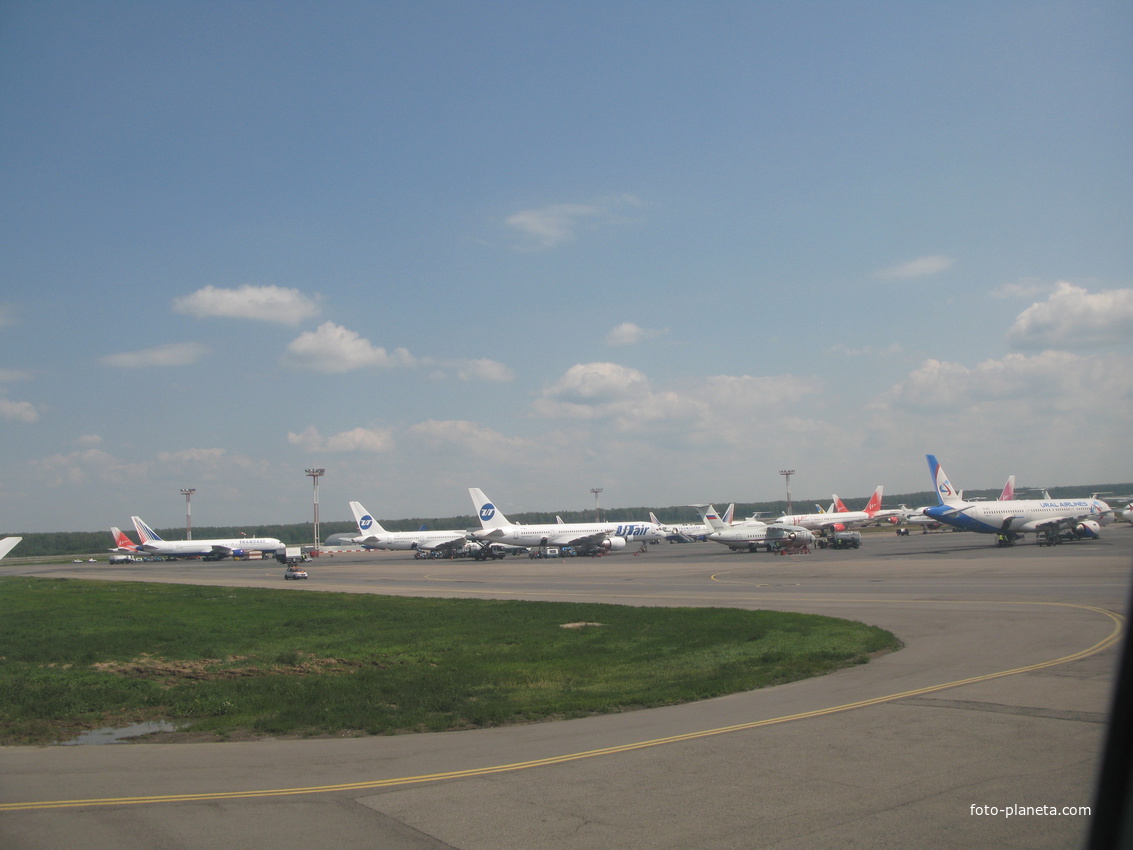Аэропорт Домодедово 2012