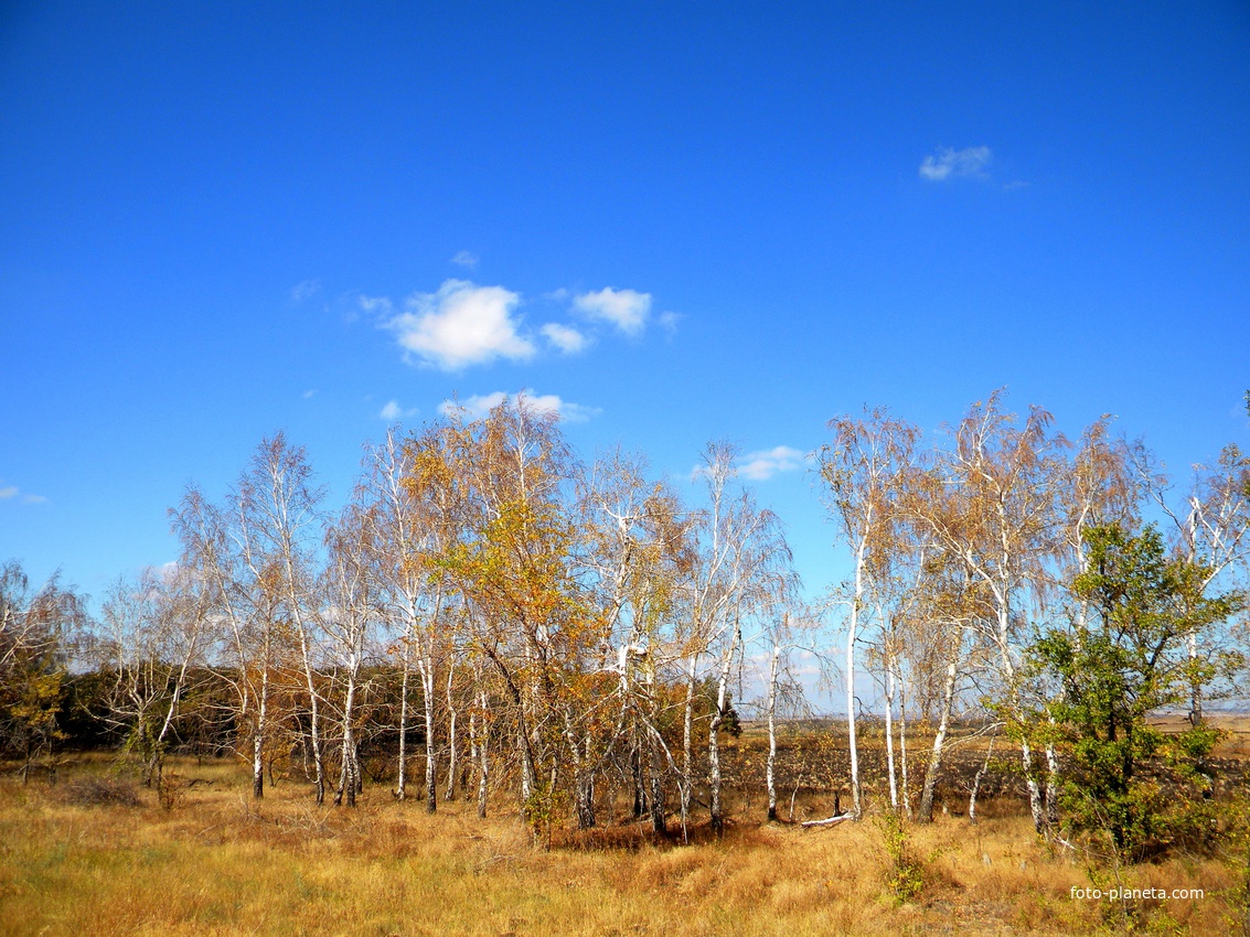 Природа на окраине села Михайловка
