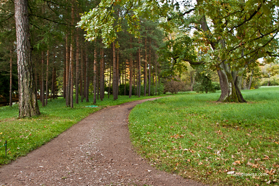 Дорожка в Екатерининском парке