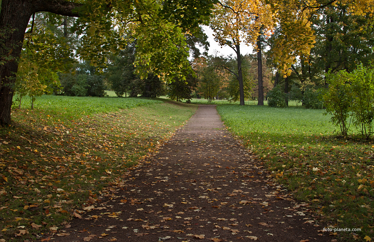 Дорожка в Екатерининском парке