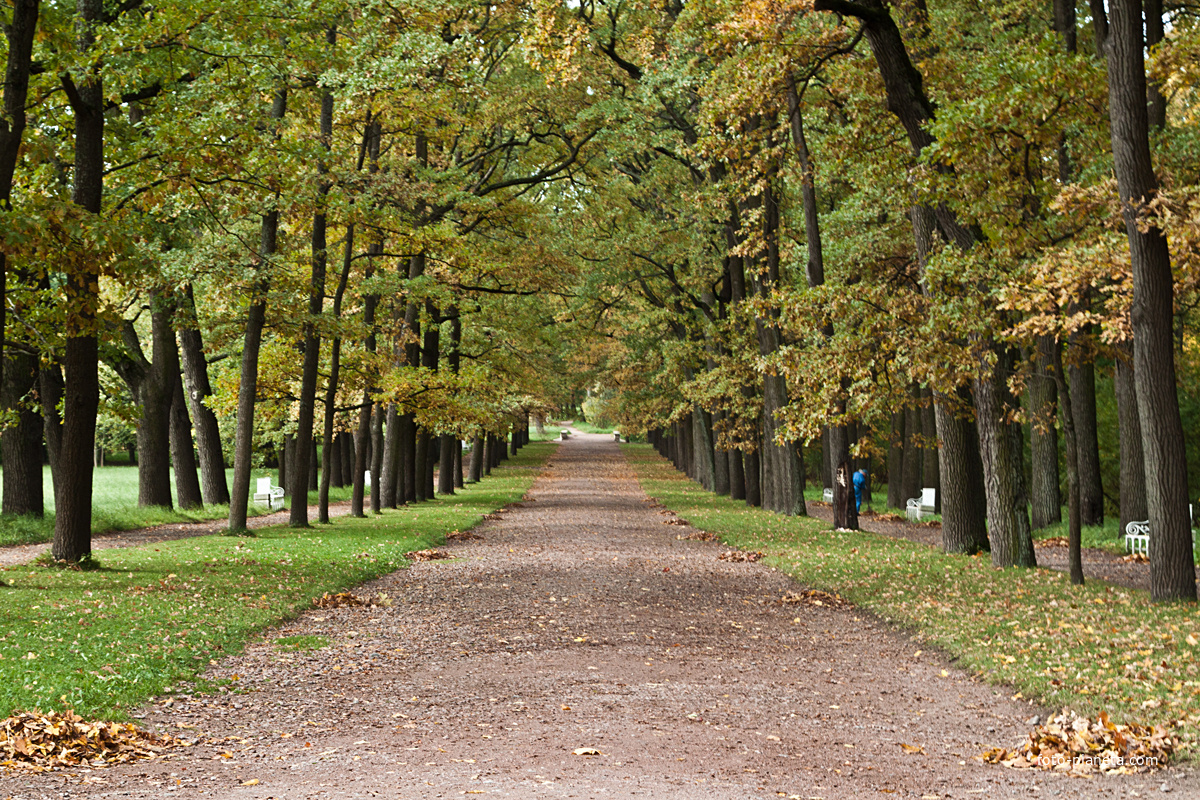 Рамповая аллея в Екатерининском парке