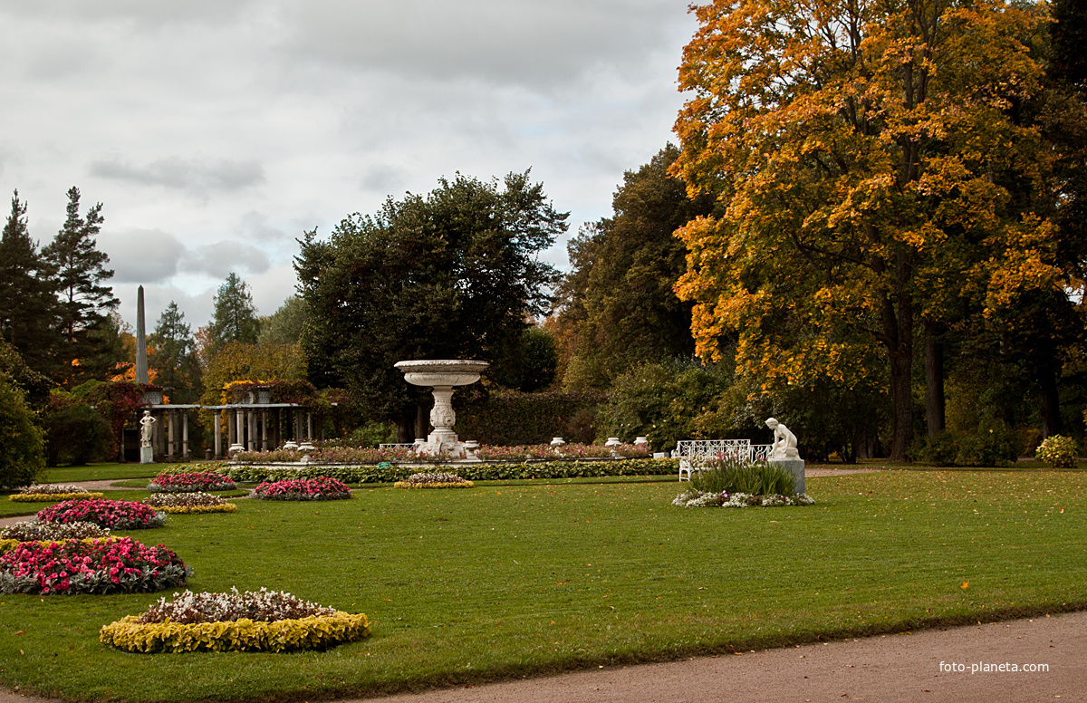 Собственный садик