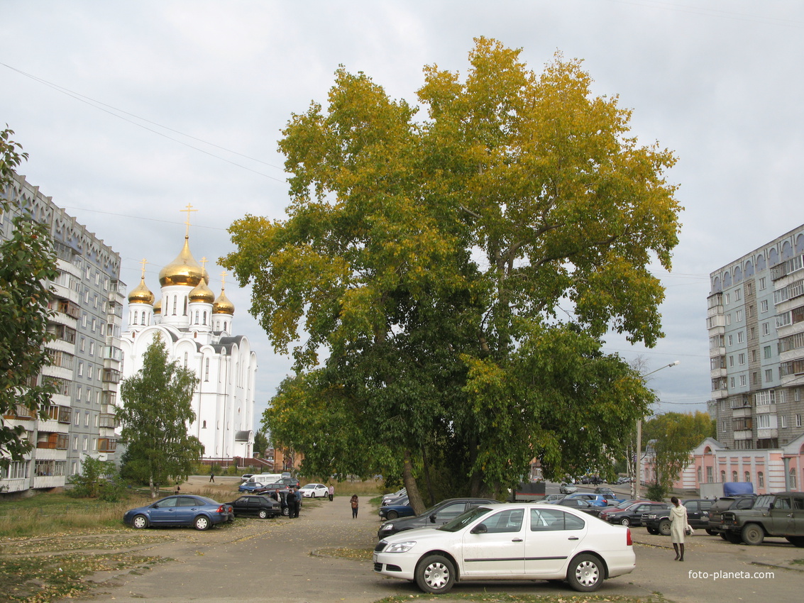 Сыктывкар 2013