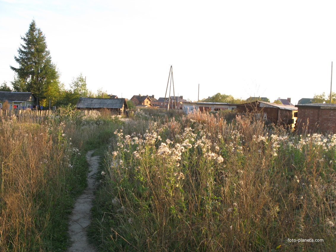 Сыктывкар 2013