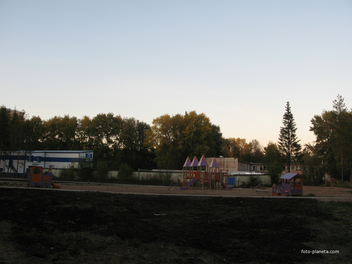 Сыктывкар 2013 на месте варварски спиленных деревьев