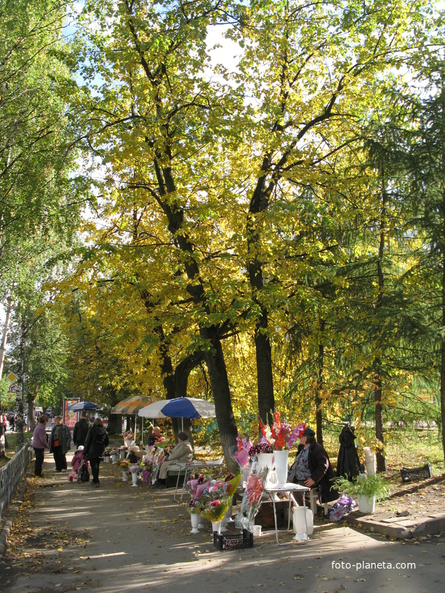 Сыктывкар 2013