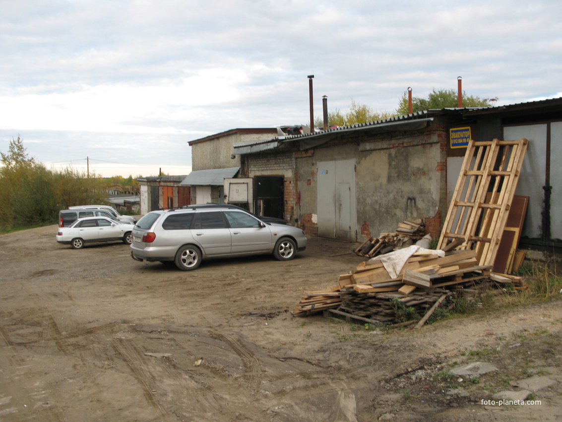 У речки Вычегда