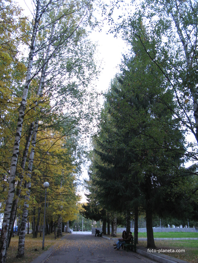 Сыктывкар 2013 у вечного огня