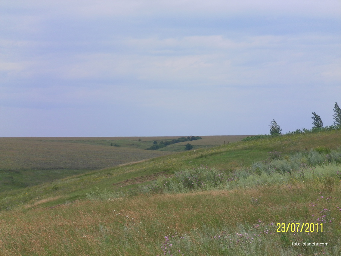 Курская область село новомеловое. Знаменка Курская область.