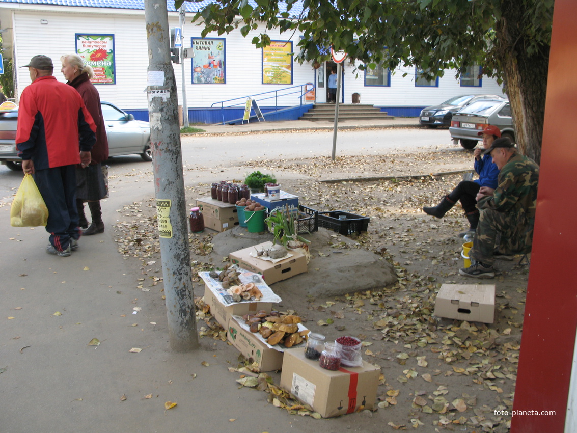 Сыктывкар 2013 лесные дары