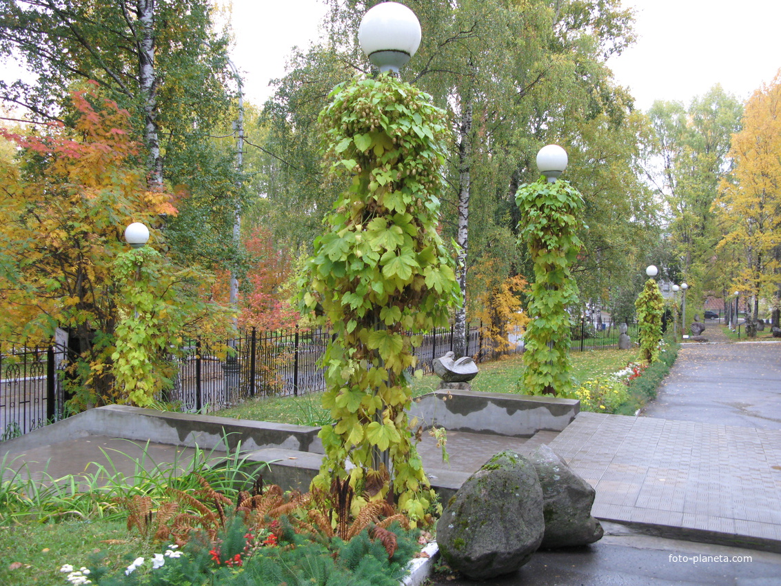 Сыктывкар 2013