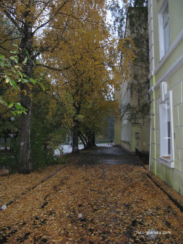 Сыктывкар 2013 ул.к.Маркса