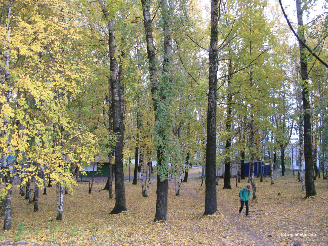 Сыктывкар 2013 у республиканского стадиона