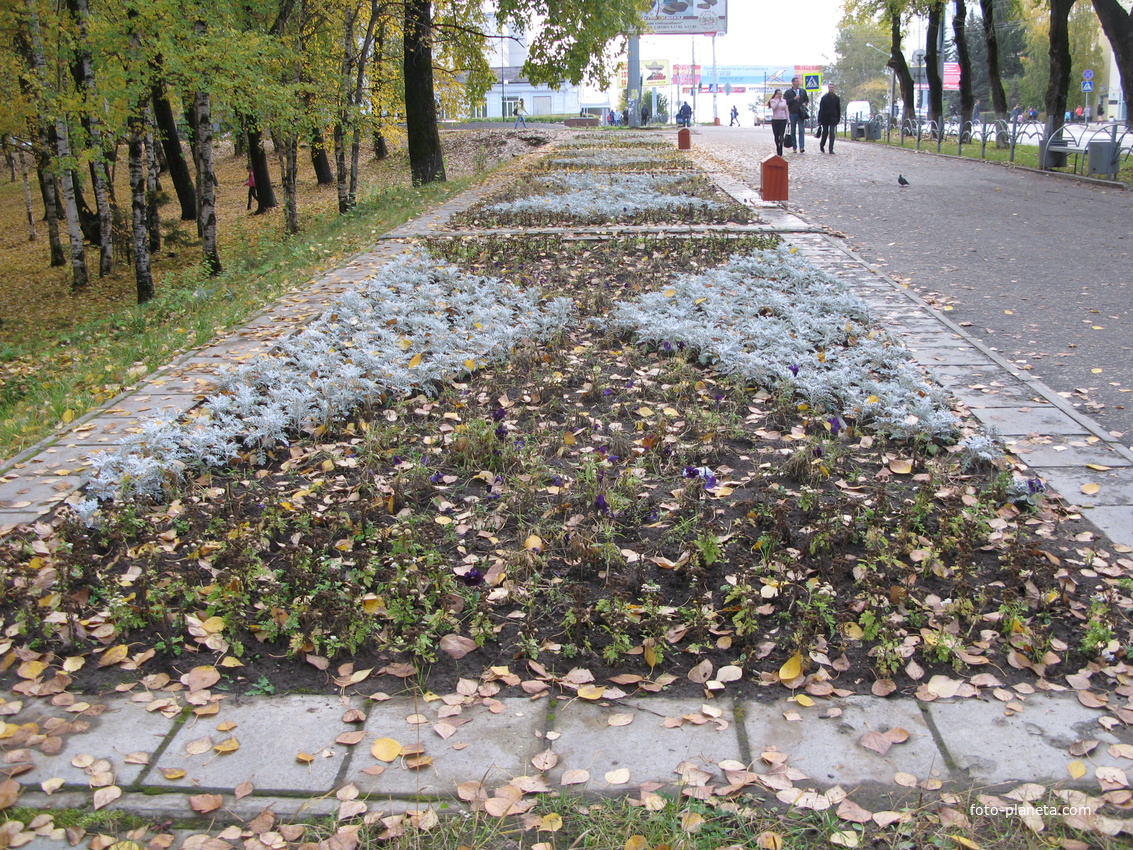 Сыктывкар 2013