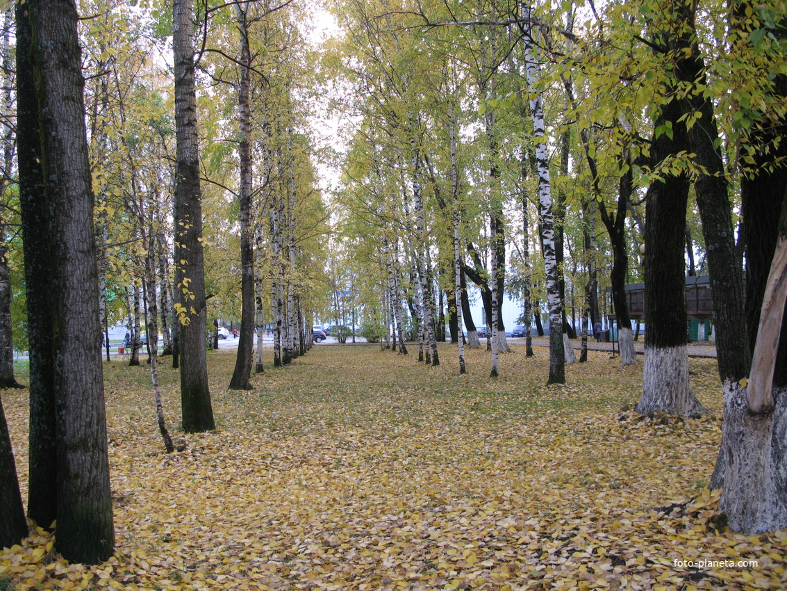 Сыктывкар 2013 у республиканского стадиона