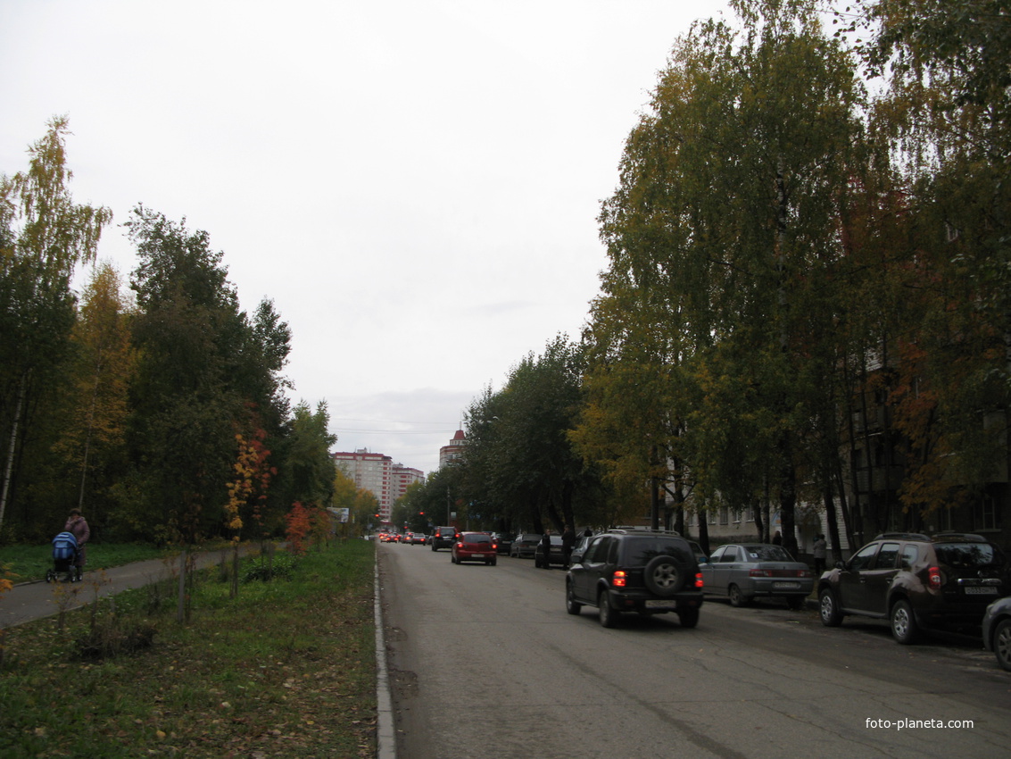 Сыктывкар 2013 ул.Пушкина