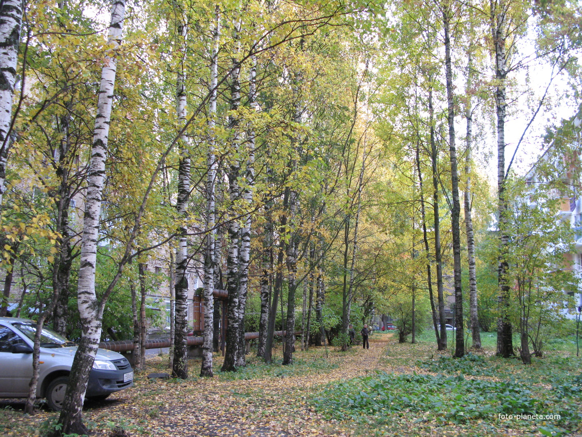 Сыктывкар 2013