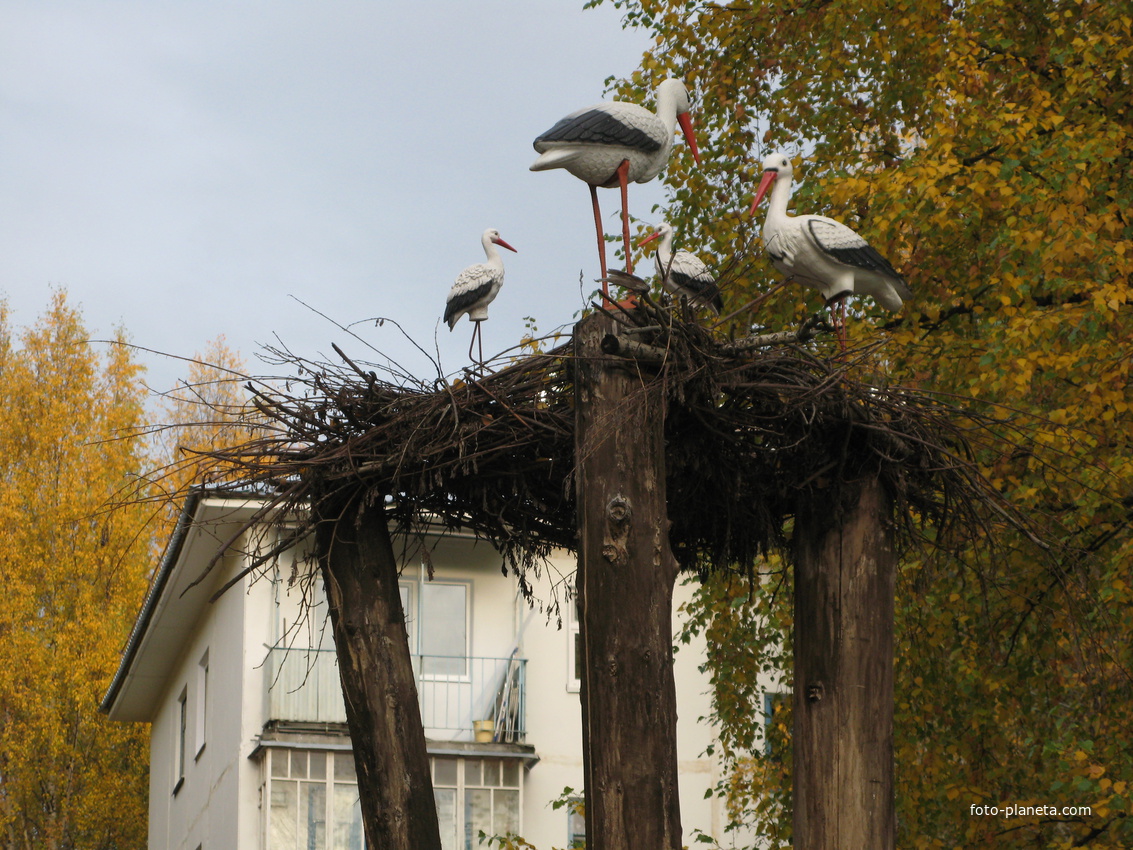 Сыктывкар 2013