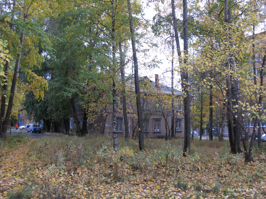 Сыктывкар 2013 ул. Орджоникидзе