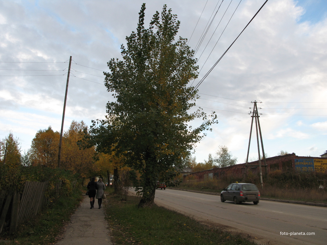 Сыктывкар 2013 Дырнос