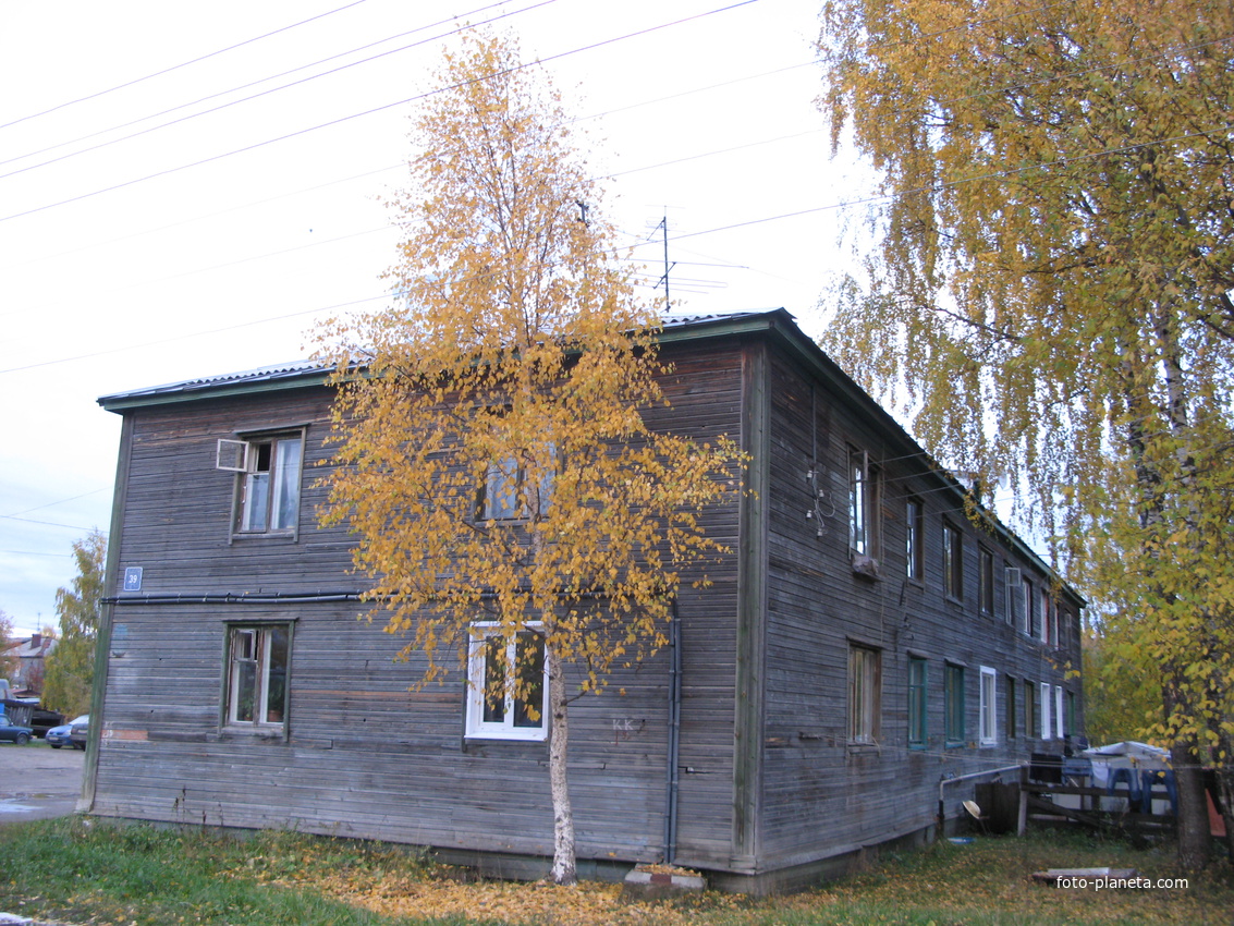 Сыктывкар 2013 Дырнос - березка