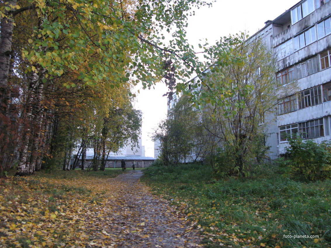 Сыктывкар 2013 Строитель