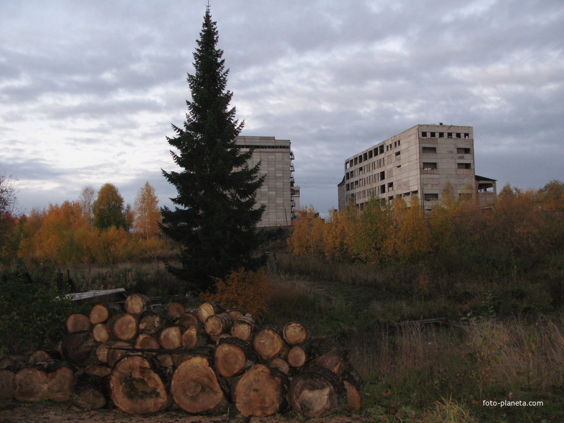 Сыктывкар 2013