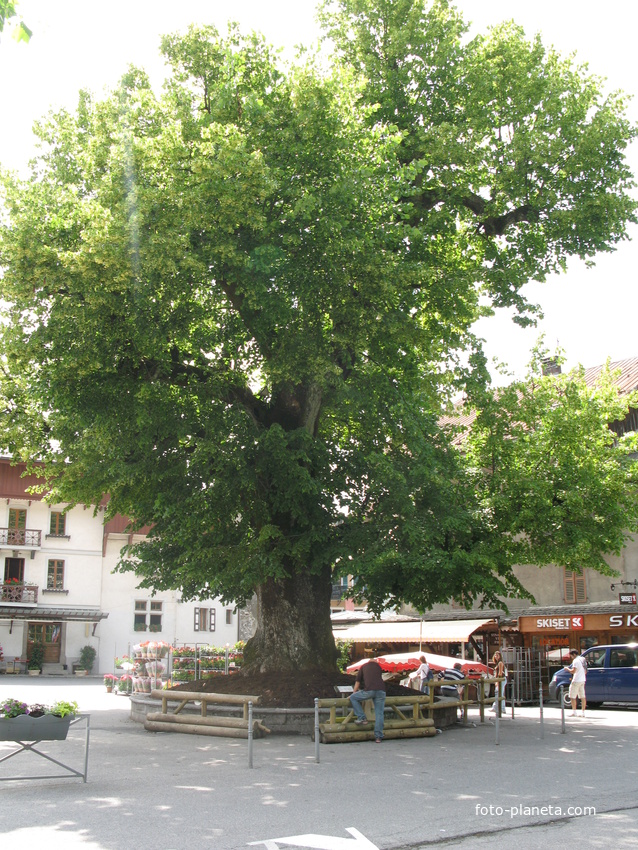 Samoëns (Самоен) 03/06/2011