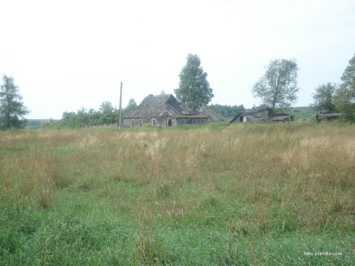 Копытово дом Корнеевых