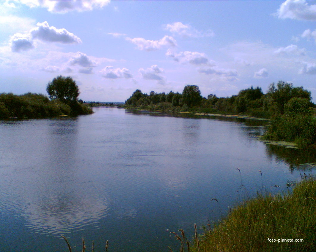 Река Цна.