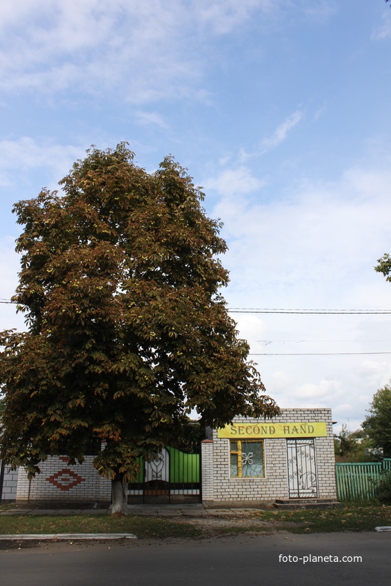 Приморск. Магазин &quot;Сэконд хэнд&quot;.