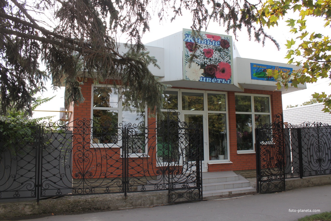 Приморск. Магазин &quot;Живые цветы&quot;.