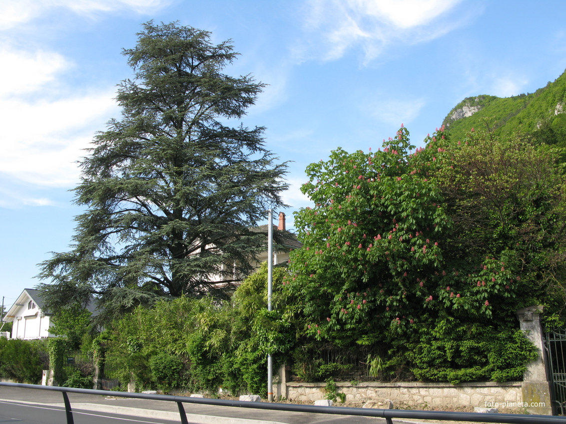 Annecy-le-Vieux 04/06/2013