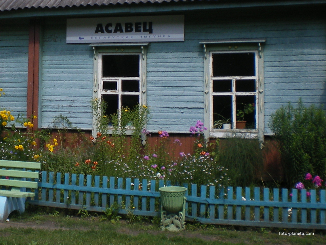 станция Осовец в 4 км от деревни