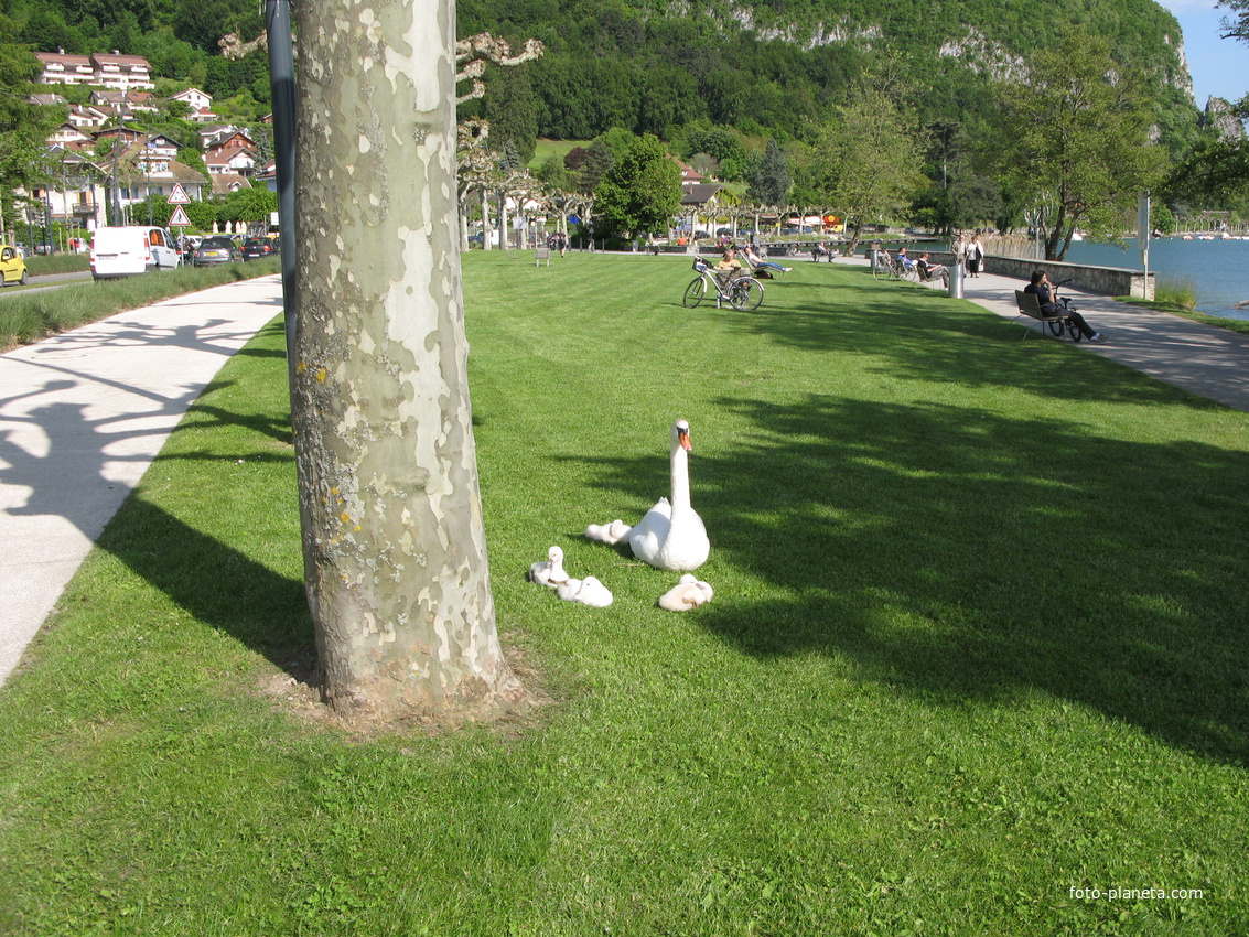 Annecy-le-Vieux 04/06/2013