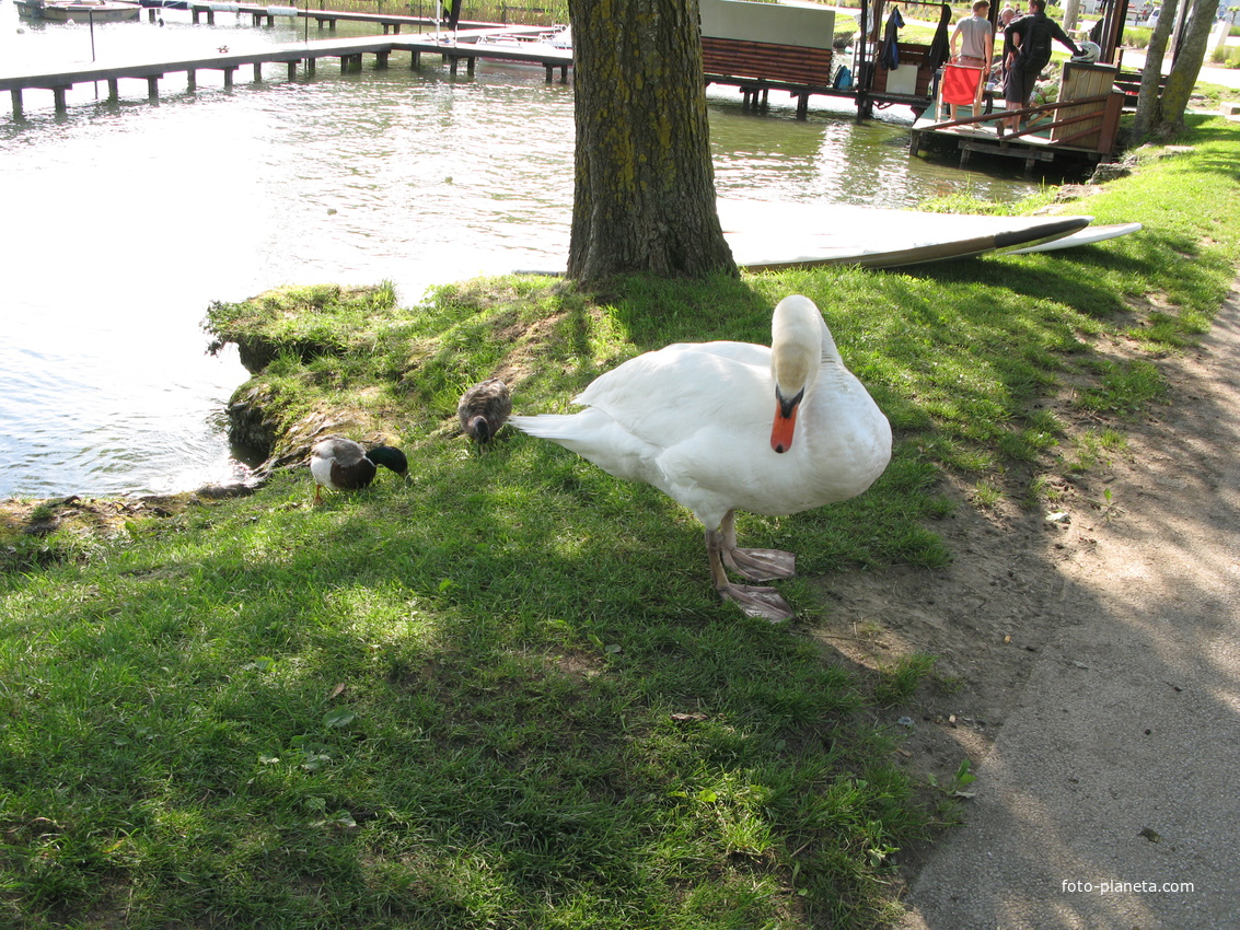 Annecy-le-Vieux 04/06/2013