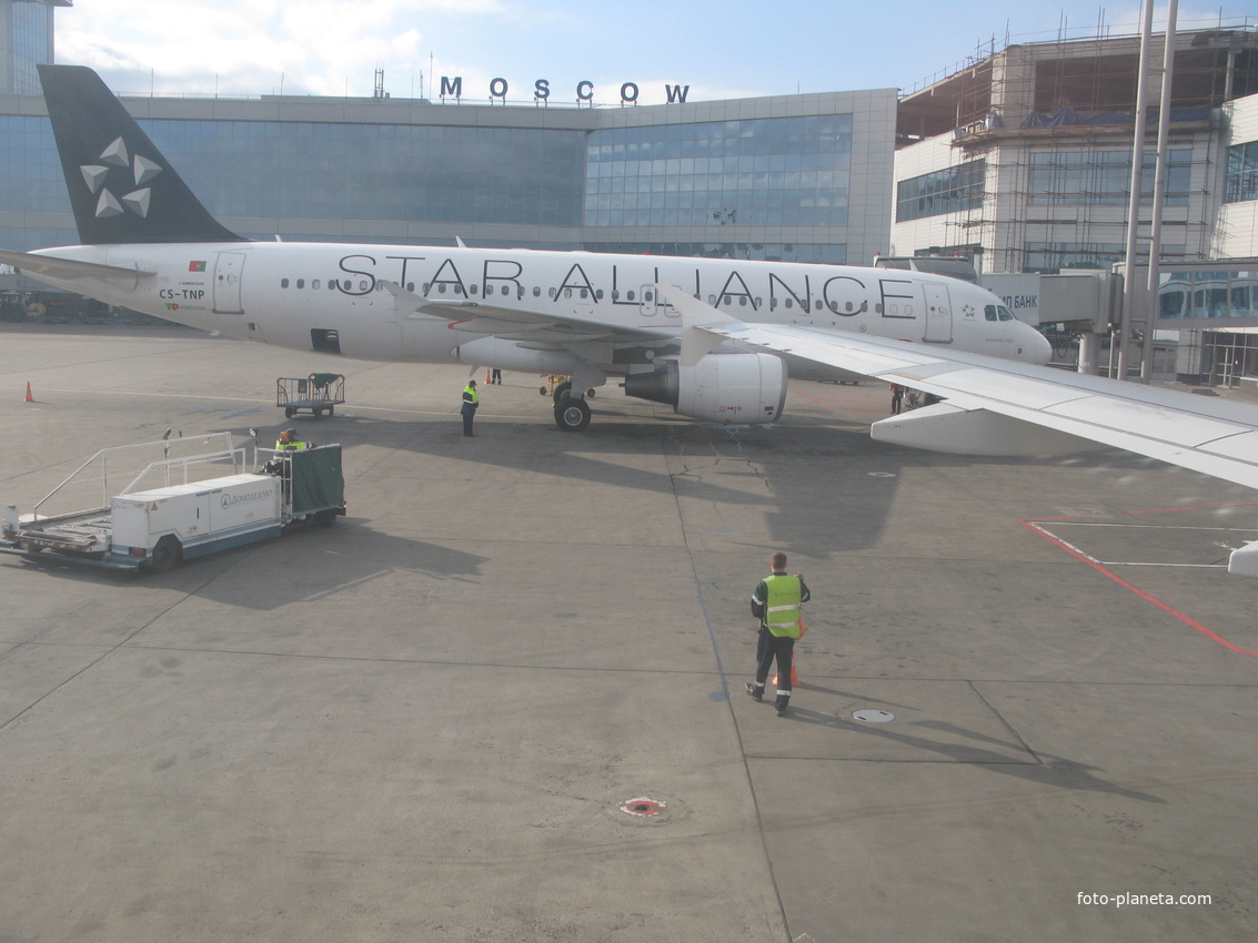 Аэропорт Домодедово